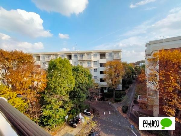 みずきヶ丘住宅11号棟 物件画像