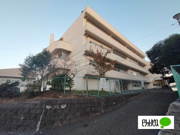 中学校
