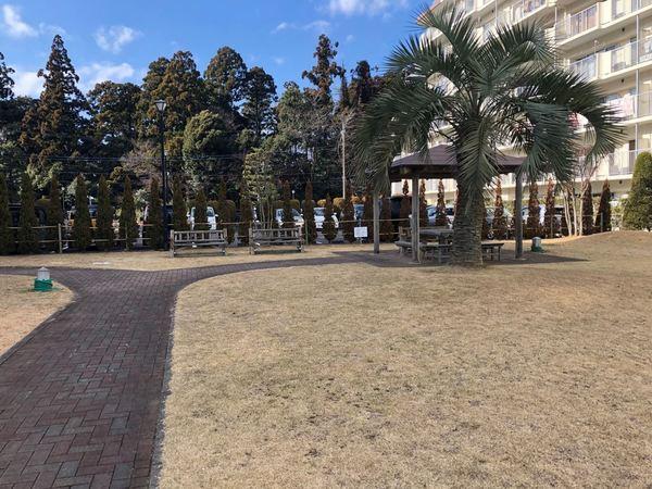 成田中央公園スカイハイツＢ棟 共有部分