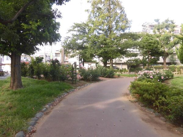 公園
