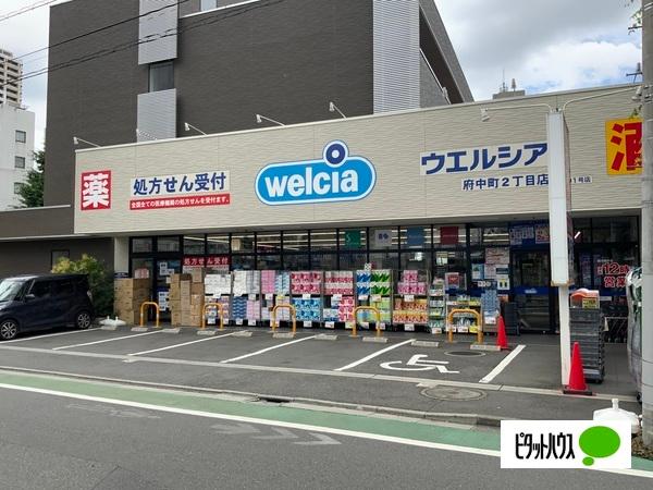 ドラックストア
