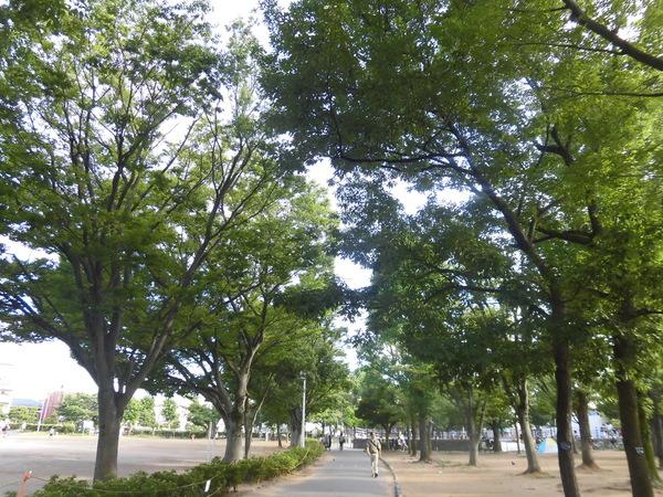 公園