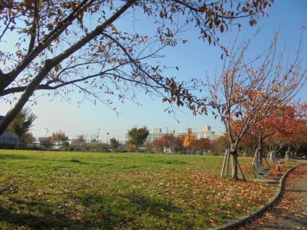 公園