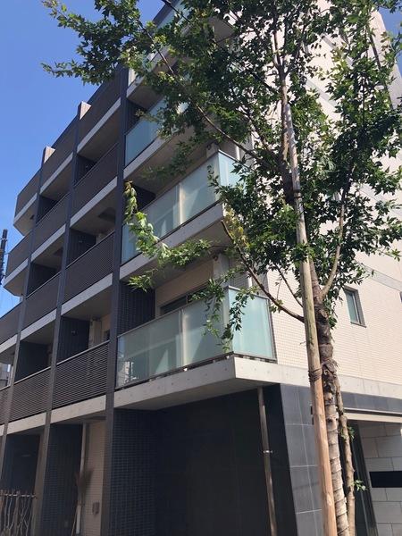 レガリス高円寺Ⅱ 外観