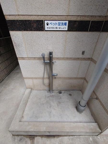 センチュリー表参道 物件画像