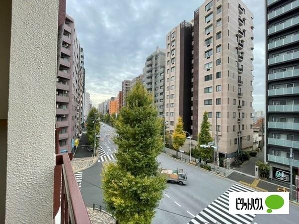 富士ハイツ 眺望