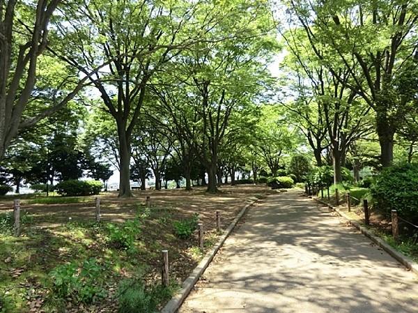 公園