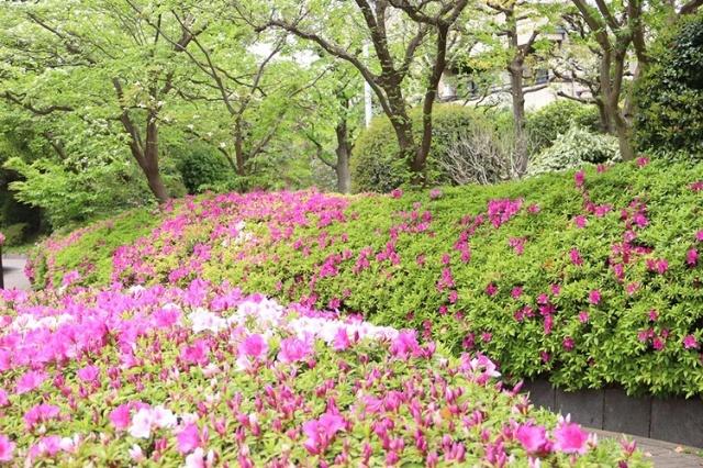 公園