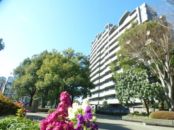 アイムふじみ野南1番館 外観