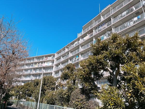 メイツ柏Ｃ棟 外観