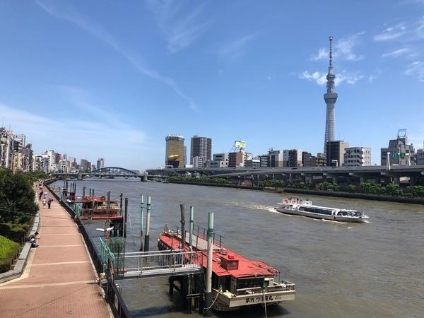 公園