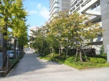 トルナーレ日本橋浜町 その他