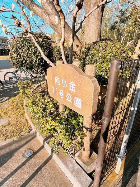 公園