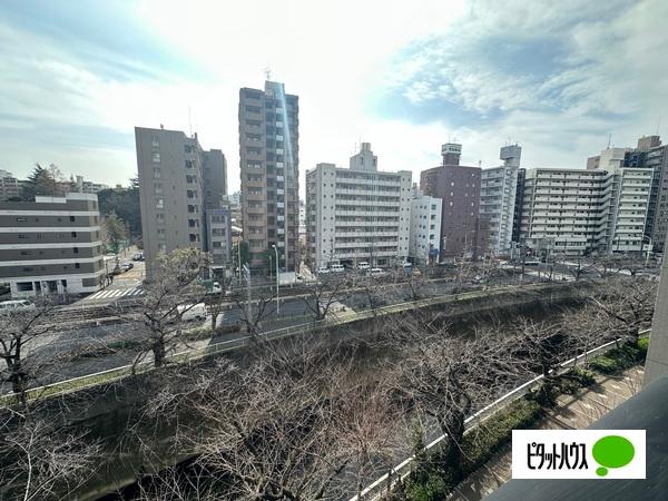 Brillia City 西早稲田 サウスコート　 眺望