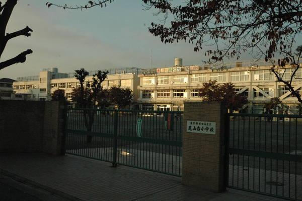 小学校