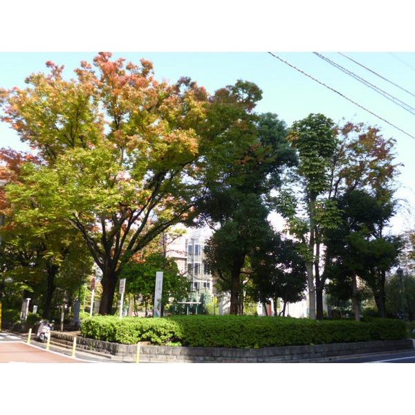 公園