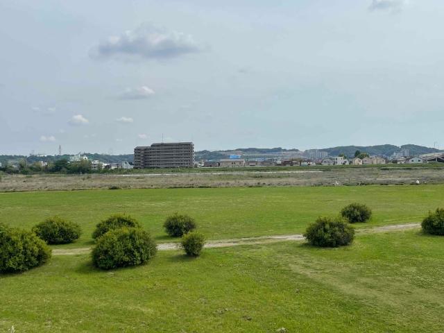 公園