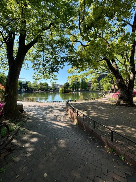 公園
