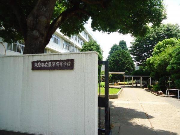 高校