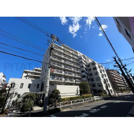 格調あるタイル貼りの白を基調とした外観