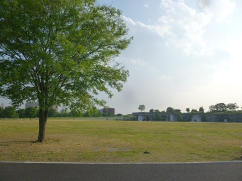 公園