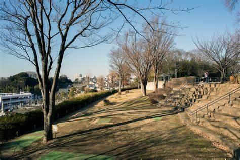 公園