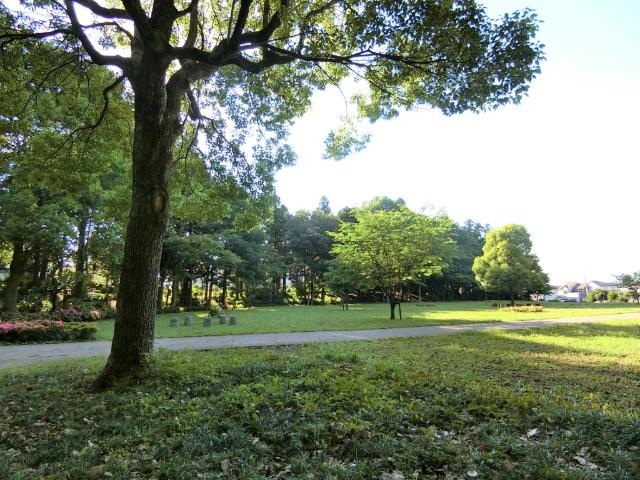 公園