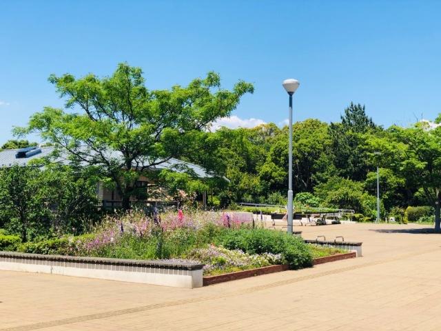 公園
