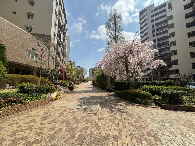 プロムナード仲町台１号棟 その他