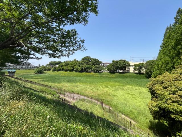 公園