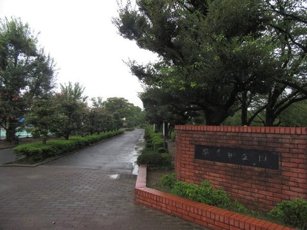 公園