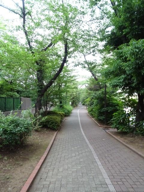 公園