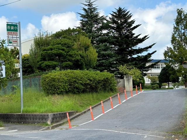 小学校