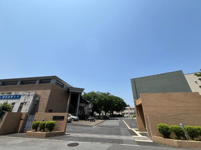 大学