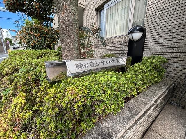 緑が丘シティハウス その他