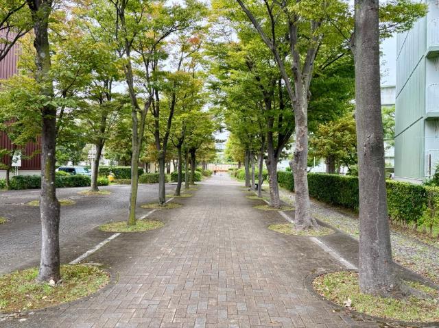 東新井団地　９号棟 共有部分