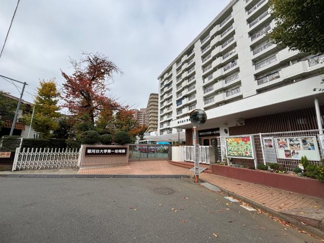 幼稚園、保育園