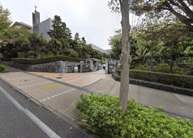 大学