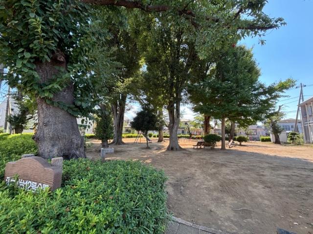 公園