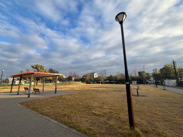 公園