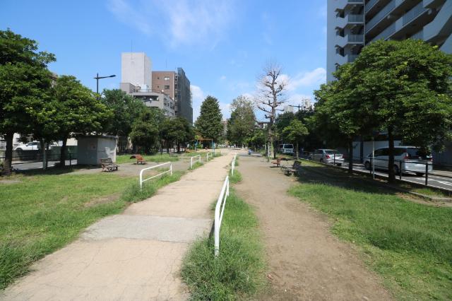 公園