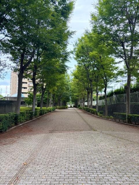 アーバンエクセル白井Ｄ棟 物件画像