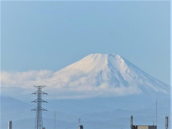 シーアイハイツ和光　Ｃ号棟 物件画像