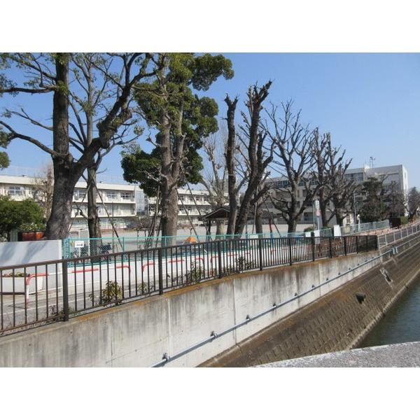 小学校