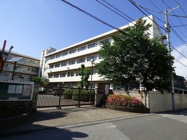 高校