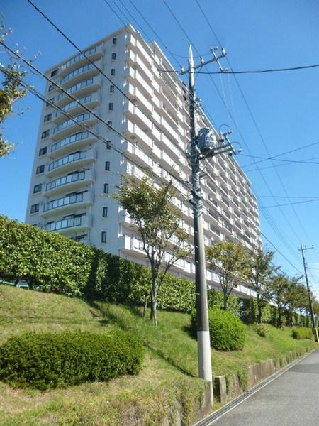 フロイデ・成田 その他