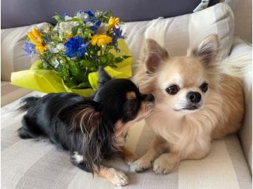 私の営業スタイル