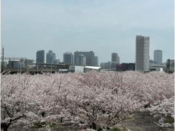 私の営業スタイル