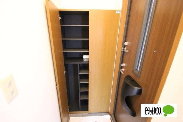 ピアドール 収納