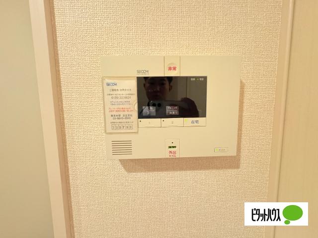 グレイスランド セキュリティ